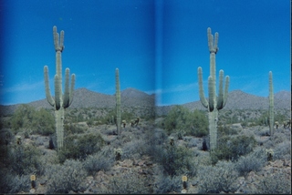 stereo-3D L+R parallel-eye Loreo -- Lost Dog Wash trail -- Taliesin overlook