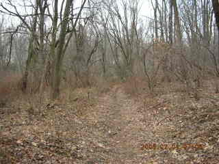 Pennypack Park trail -- morning run