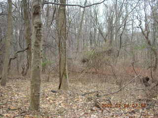Pennypack Park trail -- morning run