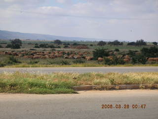 2006 eclipse trip -- to Cyrene