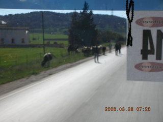 2006 eclipse trip -- bus at Cyrene