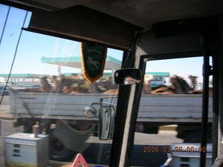 2006 eclipse trip -- truckload of camels