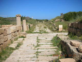-- Leptis Magna road