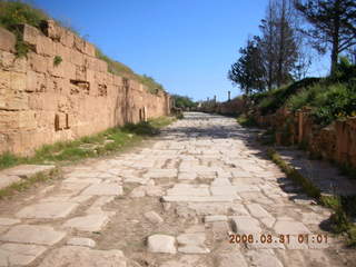 -- Leptis Magna road