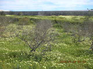 2006 eclipse trip -- Santorini vineyards