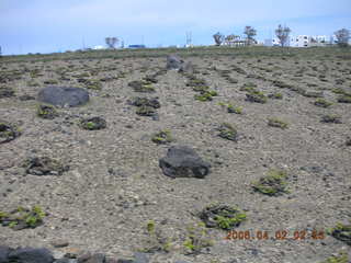 2006 eclipse trip -- Santorini grape vines in basket shape