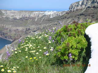 2006 eclipse trip -- Santorini wine-tasting stop -- yellow flowers and view
