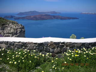 2006 eclipse trip -- Santorini wine-tasting stop -- yellow flowers