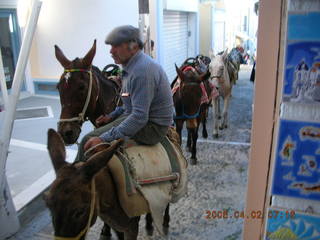 2006 eclipse trip -- Santorini donkeys