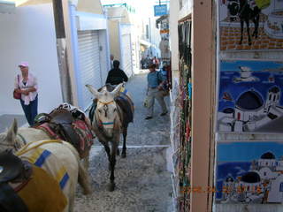 2006 eclipse trip -- Santorini donkeys