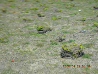 2006 eclipse trip -- Santorini -- grape vines in basket shape