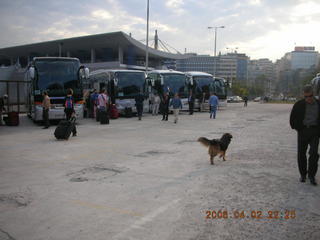 2006 eclipse trip -- people and dogs and buses in Athens