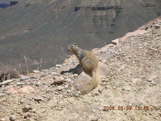 view from South Kaibab trail