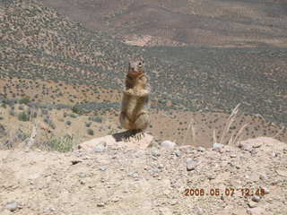 view from South Kaibab trail