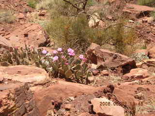 view from South Kaibab trail