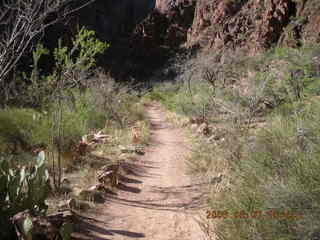 162 5t7. North Kaibab trail from Phantom Ranch