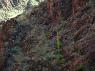 167 5t7. North Kaibab trail from Phantom Ranch