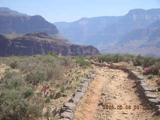 trail to Plateau Point