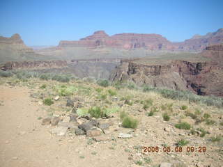 trail to Plateau Point -- Adam running