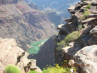 Plateau Point -- Mighty Colorado River