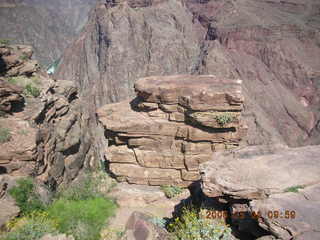 Plateau Point -- large black bird
