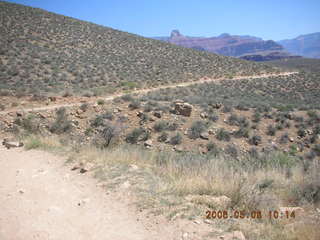 trail from Plateau Point