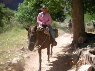 Plateau Point -- Mighty Colorado River