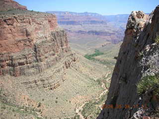 trail from Plateau Point -- mule and rider