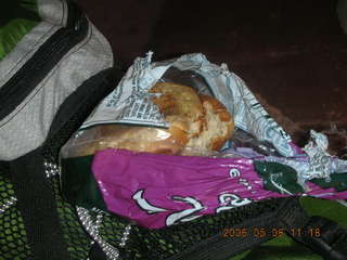 the squirrels found my bagels