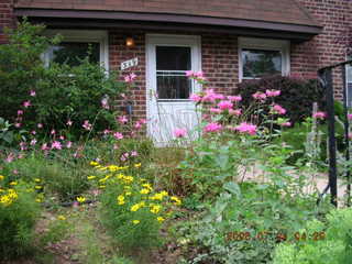 pretty house with pretty flowers in Northeast Philadelphia