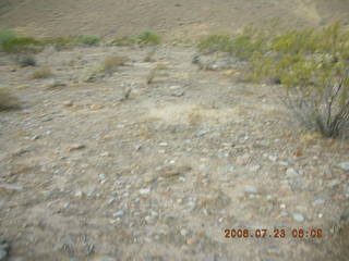 Snake in Lorimar Park