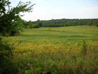 Minnesota trip - Afton run