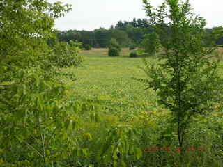 Minnesota trip - Afton run