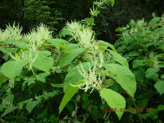 Minnesota trip - Afton run