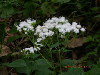 Minnesota trip - Afton run - Adam