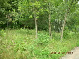 Minnesota trip - Afton run