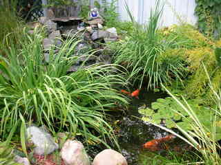 Minnesota trip - Afton run