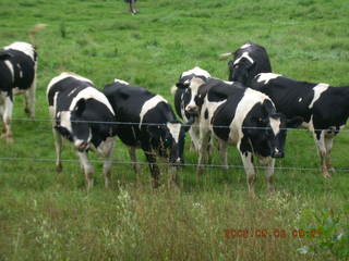 Minnesota trip - Afton run - Selmas Ice Cream Parlour - Adam and ice cream cone