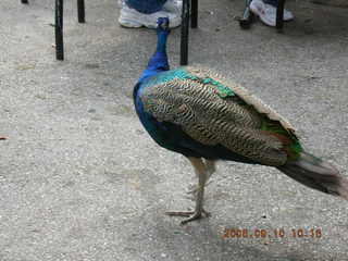 Philadelphia Zoo -- Jennifer