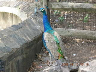 Philadelphia Zoo -- Jennifer, Betsy