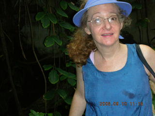 322 5xa. Philadelphia Zoo -- Betsy