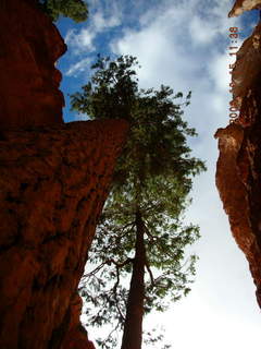 aerial -- Bryce Canyon