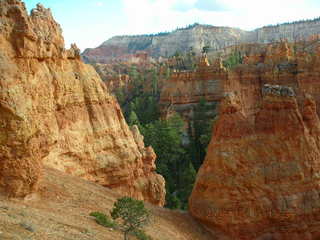 Bryce Canyon -- Navajo loop