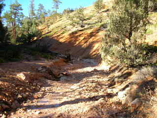 Bryce Canyon -- Fairyland Trail -- Adam