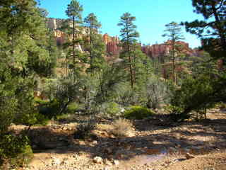 Bryce Canyon -- Fairyland Trail