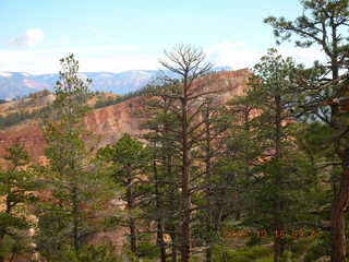 Bryce Canyon -- Fairyland Trail