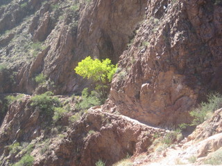 Christoph G. picture -- Grand Canyon -- Bright Angel creek