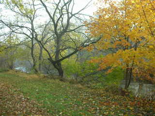 Tookany Creek Parkway in autumn