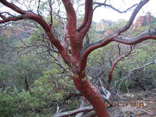 Sedona -- Secret Canyon hike -- slot canyon