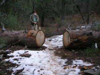 Sedona -- Secret Canyon hike -- old, cut tree -- Jim